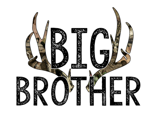 Big Brother