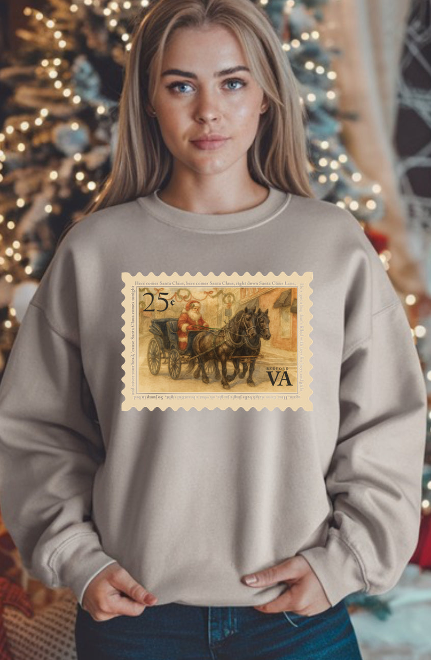 Santa in Town Bedford VA (Sarah & Carlee Collab)