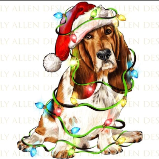 Christmas Bassett Hound