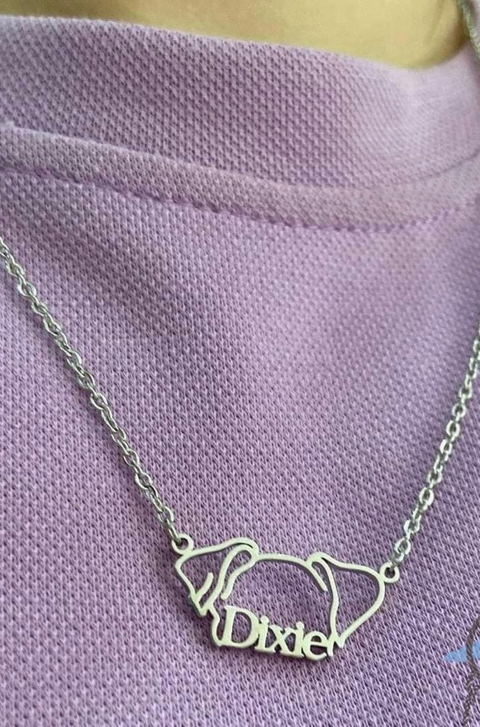 Personalized Pet Necklace