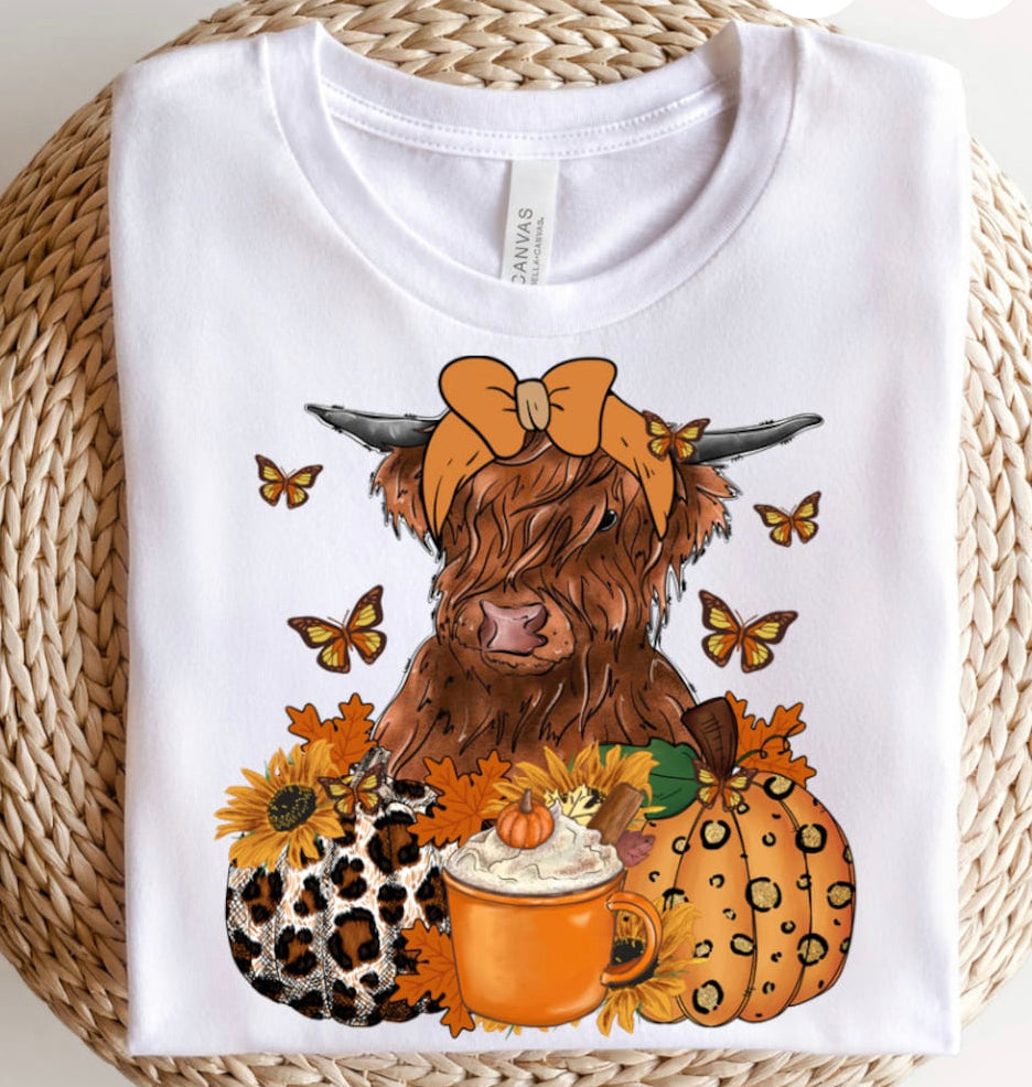 Highland cow w/pumpkins