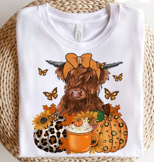 Highland cow w/pumpkins