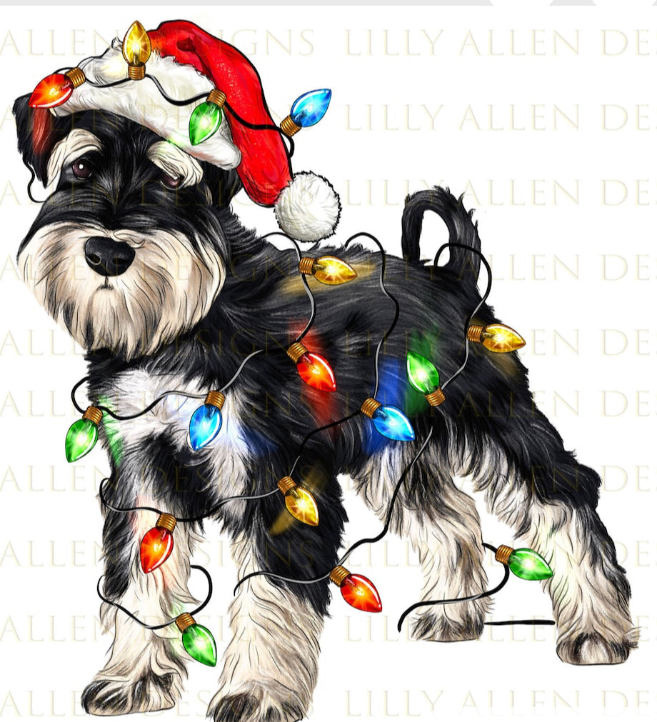 Christmas Miniature Schnauzer