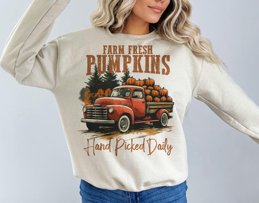Farm fresh pumpkins