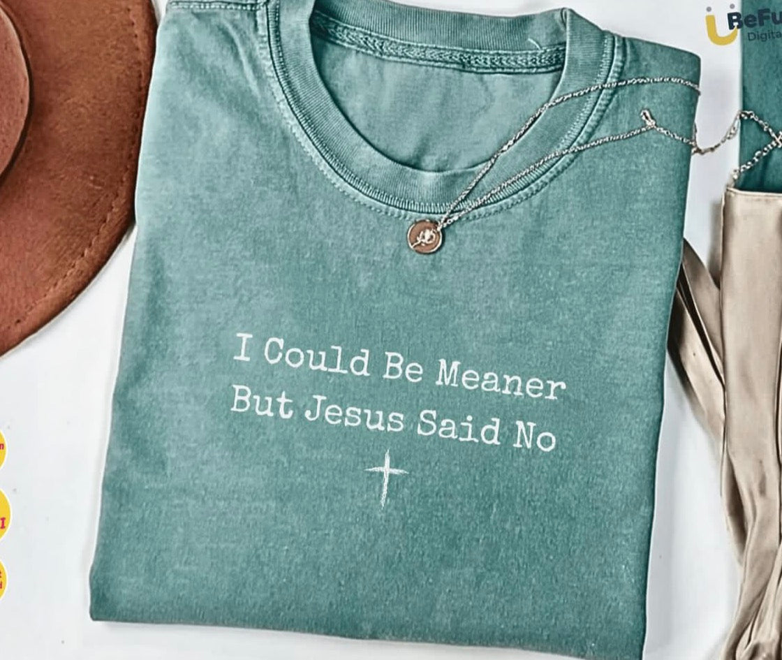 I could be meaner but Jesus said no