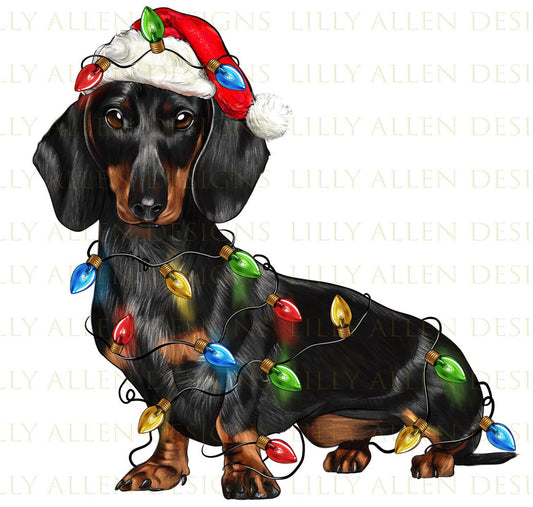 Christmas Dachshund