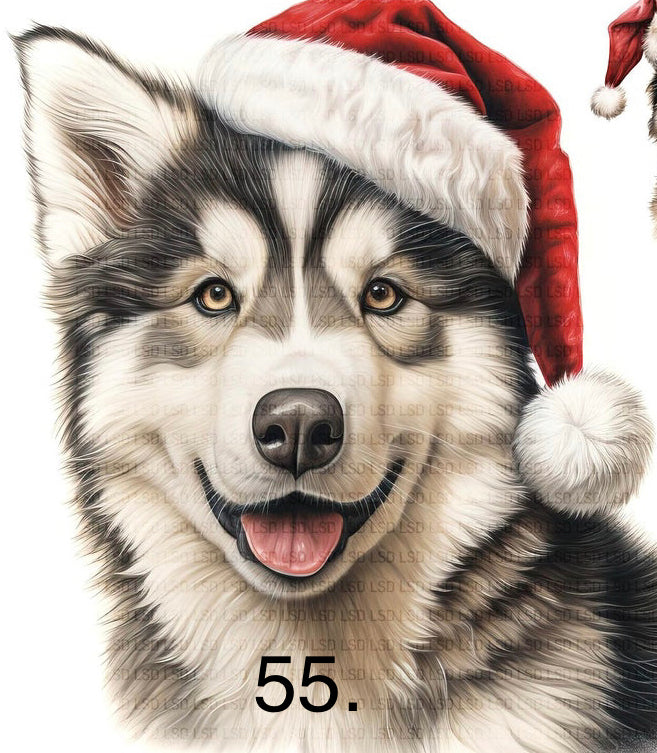 Christmas Dog Shirt (Can add dog name or “Merry Christmas”)