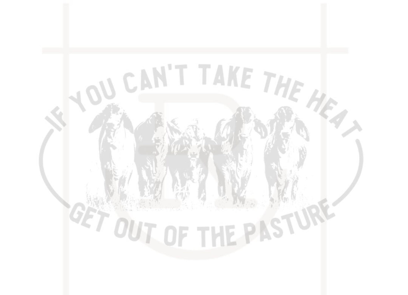 Get on the pasture