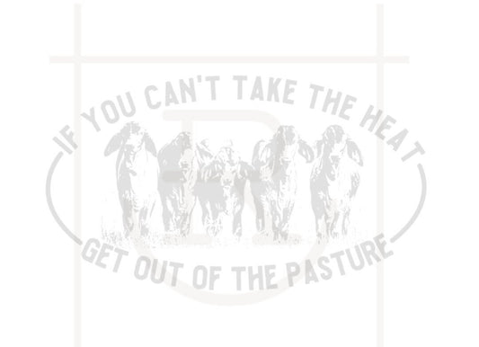 Get on the pasture