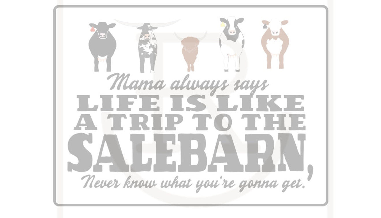 Trip to the salebarn