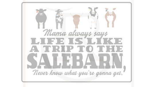 Trip to the salebarn