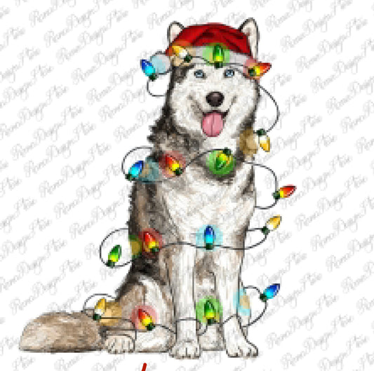 Christmas Husky
