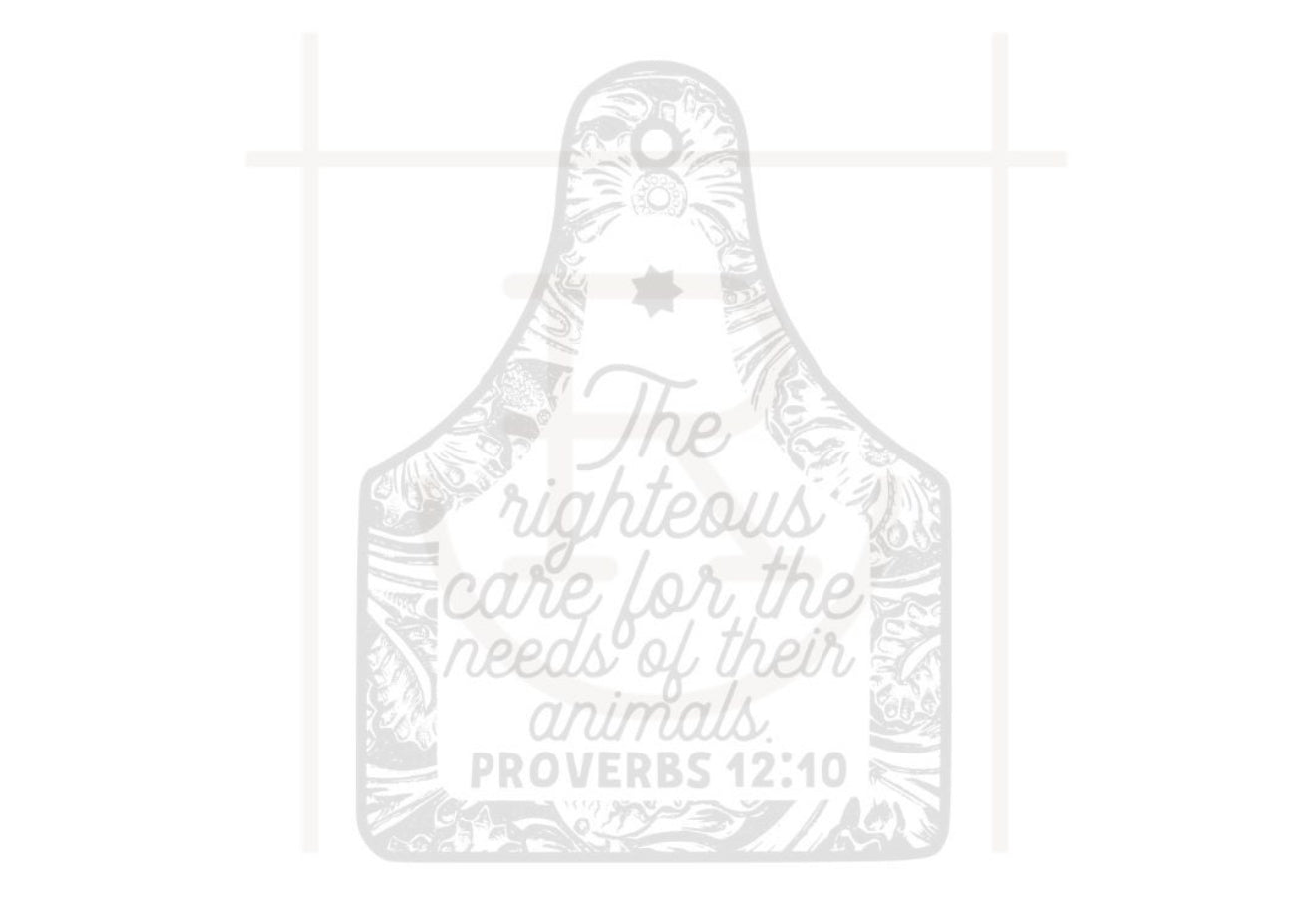 The righteous care for their animals