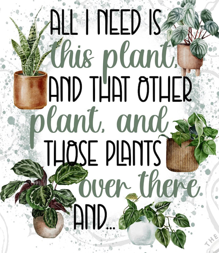 All I need is this plant