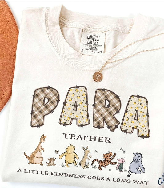 Para teacher