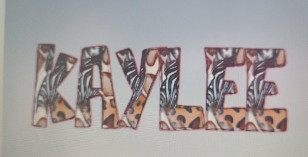 Zebra Leopard