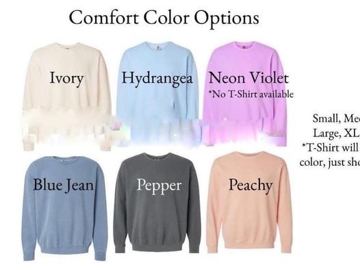 Lightweight Embroidered Comfort Colors Short Sets