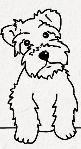 Schnauzer