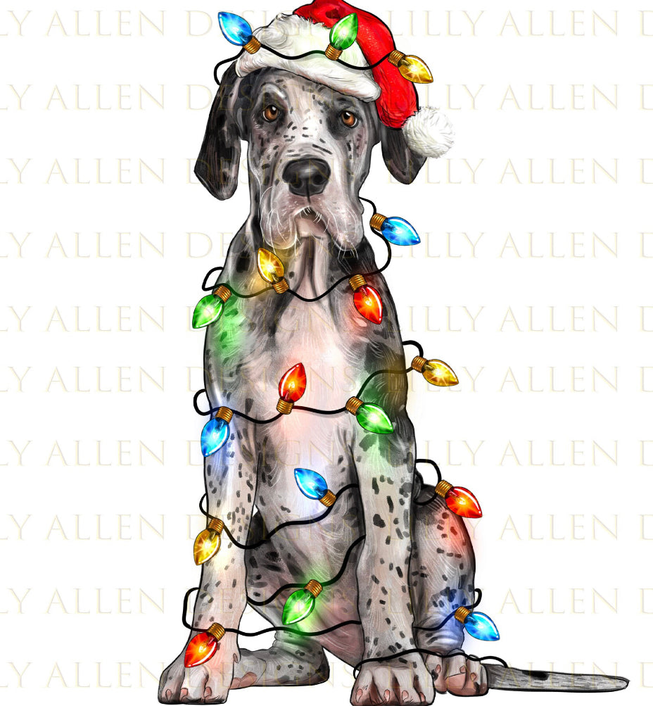 Christmas Great Dane