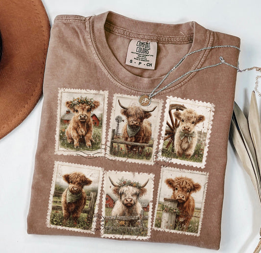 Highland Cows
