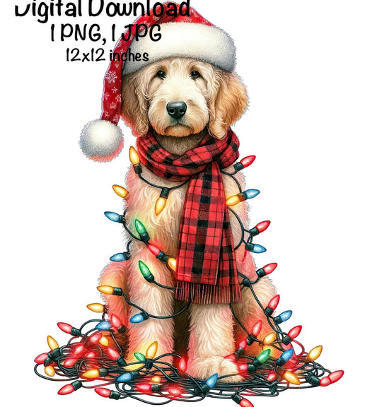 Christmas Goldendoodle