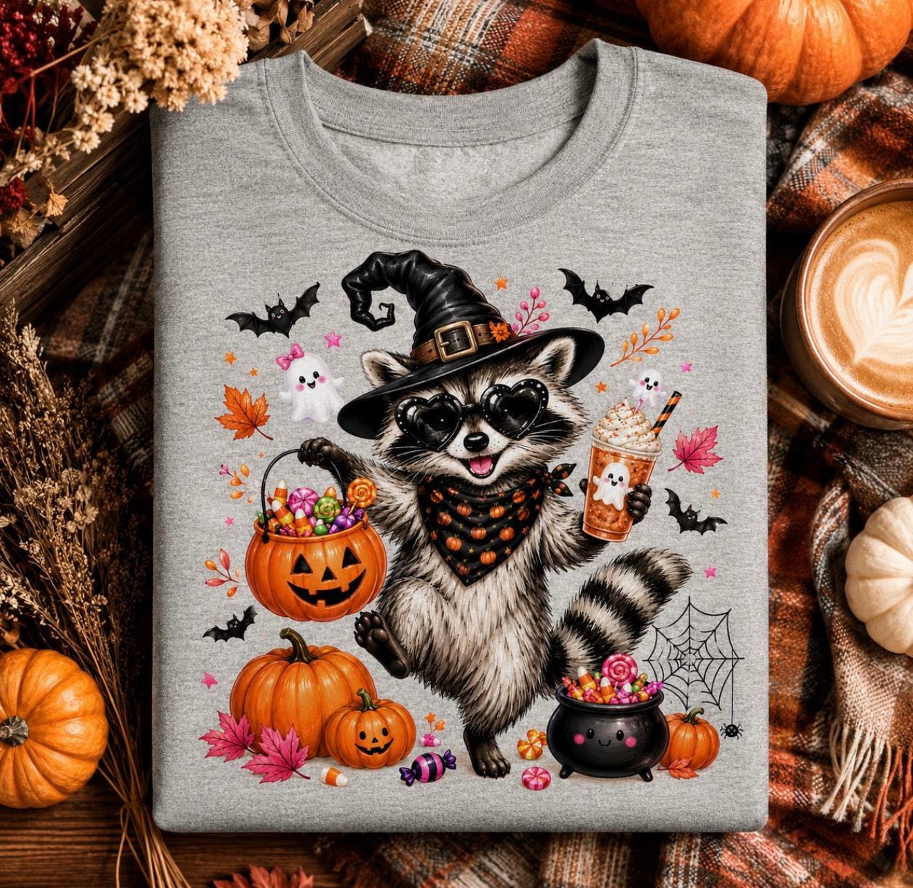 Halloween Witch Racoon