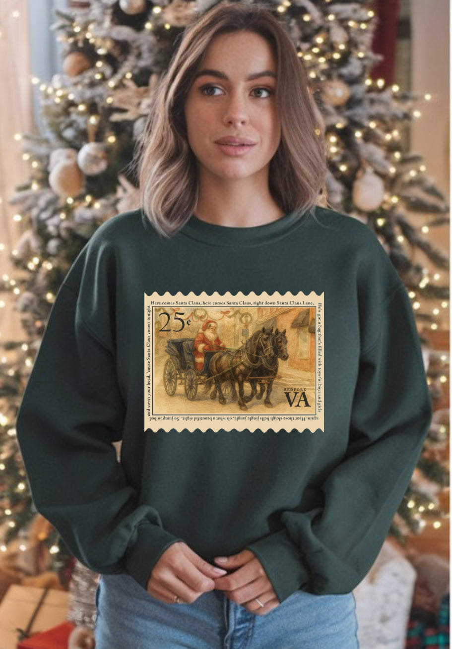 Santa in Town Bedford VA (Sarah & Carlee Collab)