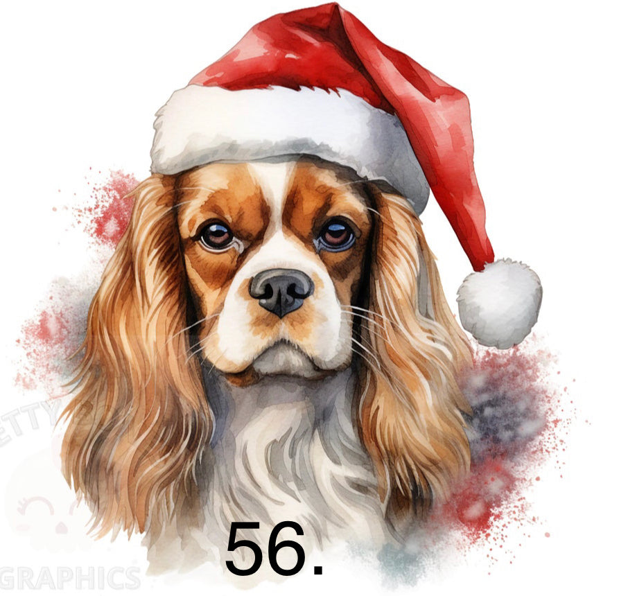 Christmas Dog Shirt (Can add dog name or “Merry Christmas”)