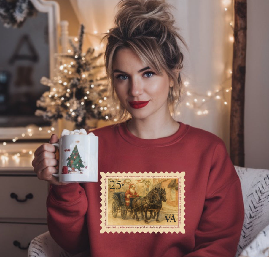 Santa in Town Bedford VA (Sarah & Carlee Collab)