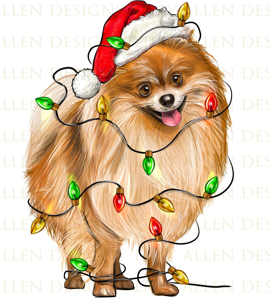 Christmas Pomeranian