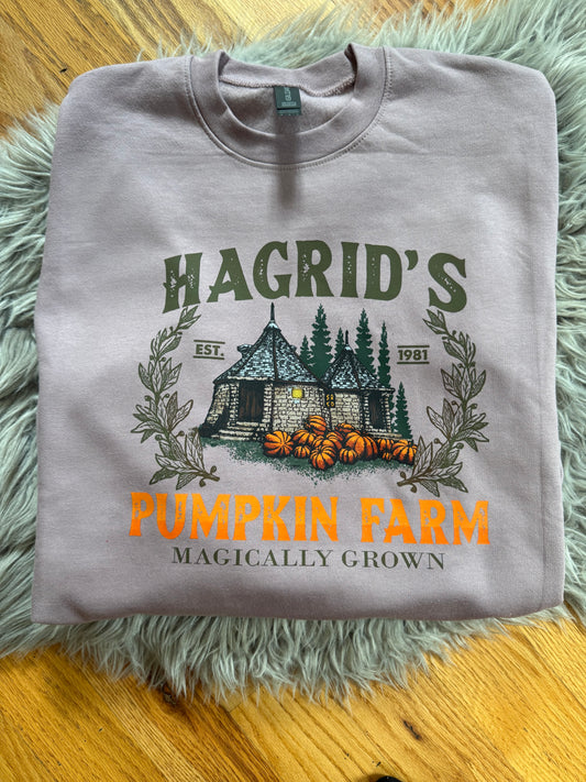 Magic Pumpkins