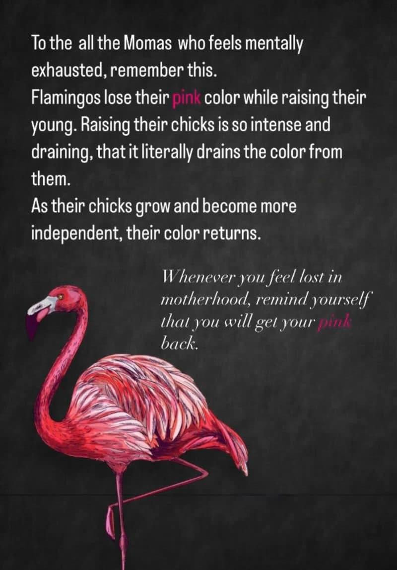 Embordiered get pink back flamingo