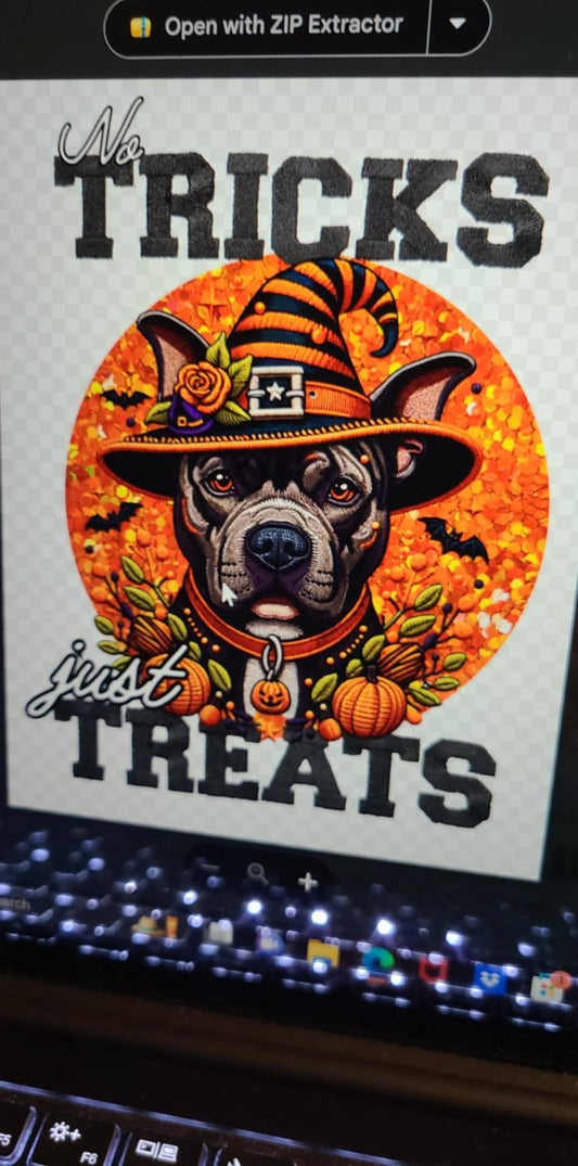 Brown Pitbull tricks and treats