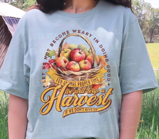 We will reap a harvest apple