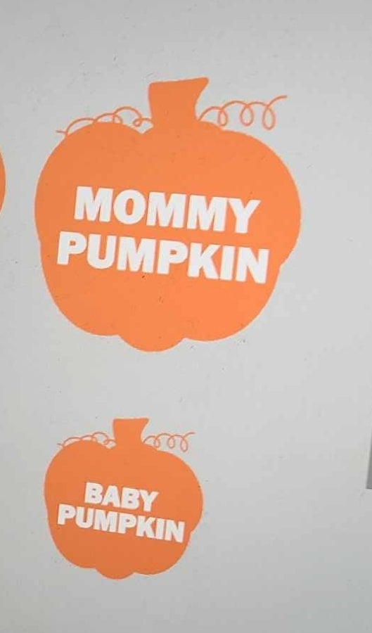 Mom and baby pumpkin