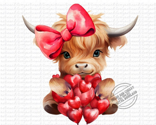 Highland Valentine cow