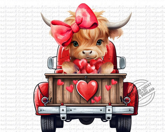 Highland Valentine cow in truck