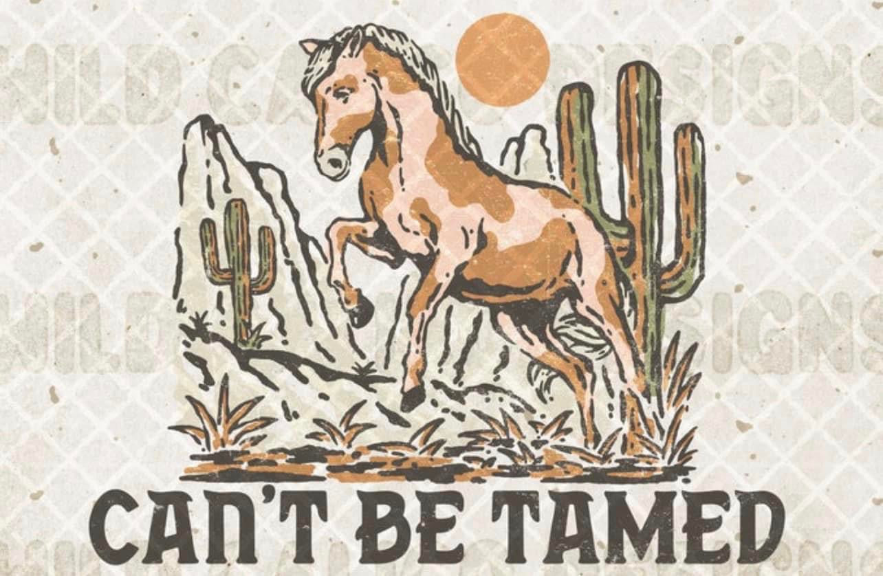 Can’t be tamed horse