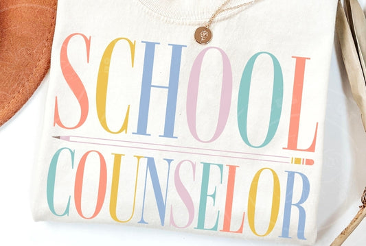 School Counselor