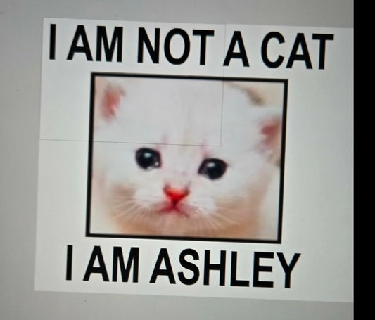 I am not a cat