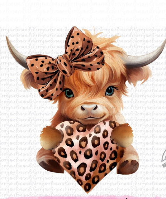 Leopard Highland  cow